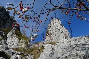 15 Discesa in corda doppia dal Torrione Longo